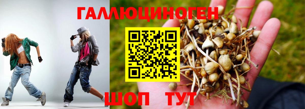 Псилоцибиновые грибы ЛСД  Псилоцибиновые грибы ЛСД  где купить   Вход с VPN  Владивосток 